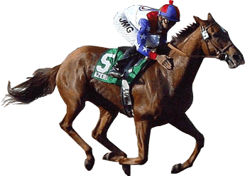Australian Horse Racing News Portal